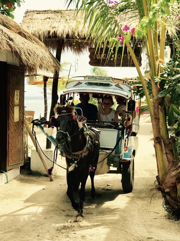 Villa Ardi Beltza Gili Air Kültér fotó